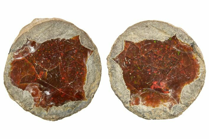 Ethiopian Chocolate Opal Nodule (Pair) - Yita Ridge #369072